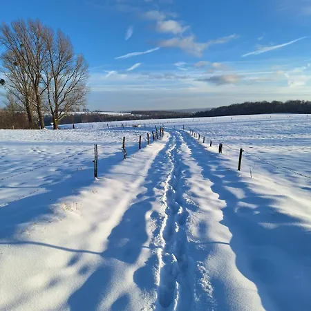 Lejlighed Fewo-huertgenliebe