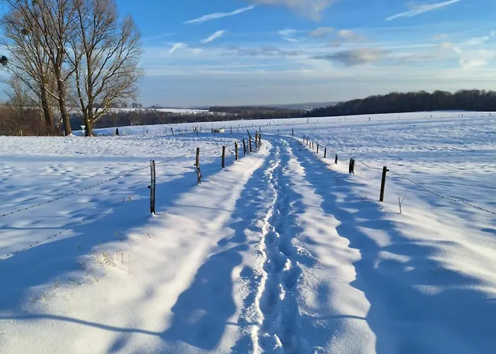 Apartament Fewo-huertgenliebe